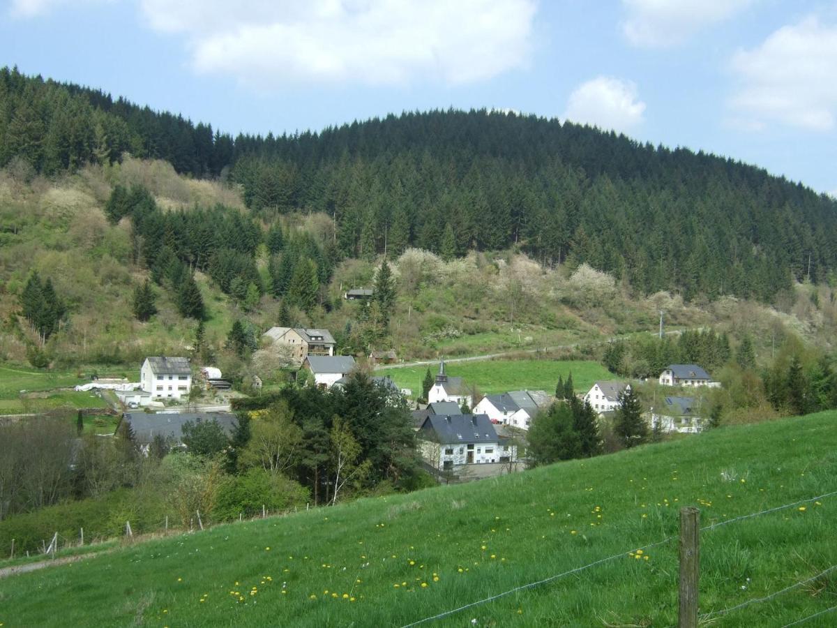Lavish Apartment In Merschbach Near The Forest Exterior photo